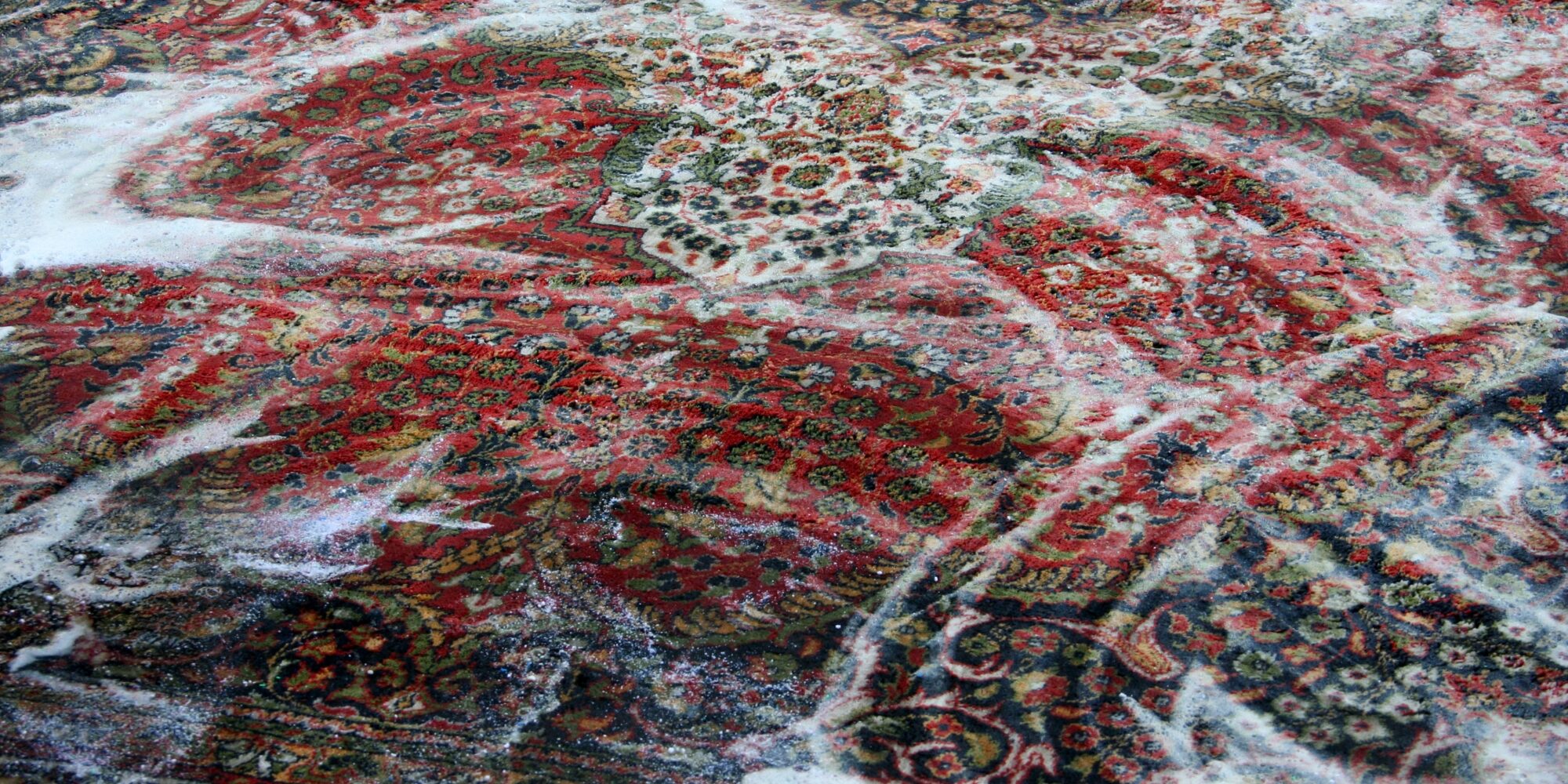 dreamstime_xxl_20629608